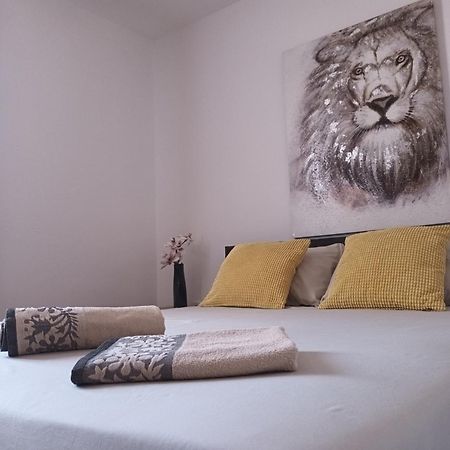 Apartman Kala 比奥格勒·纳·莫鲁 外观 照片